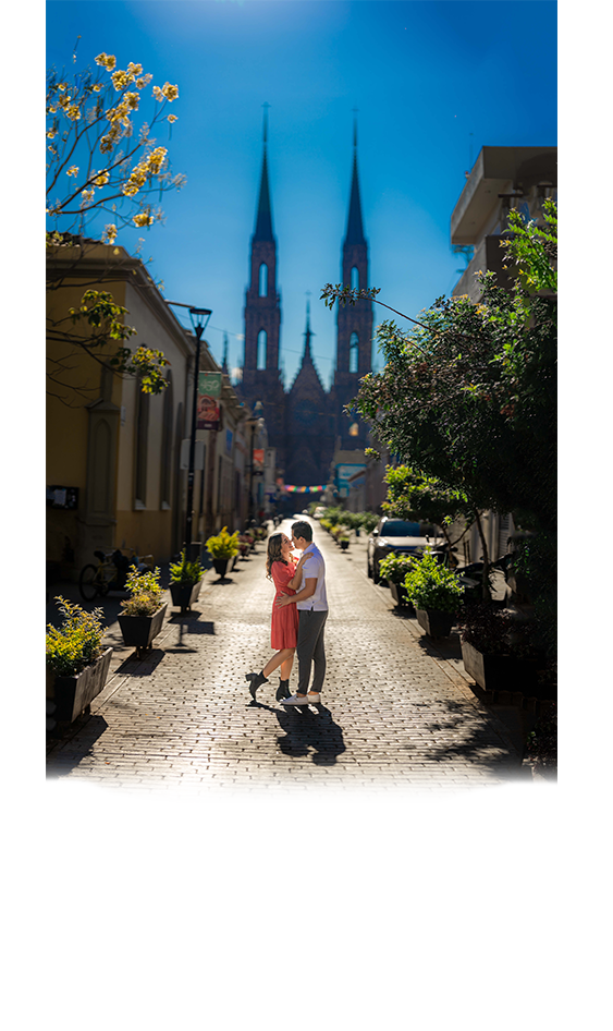 _VMS4516-Pano